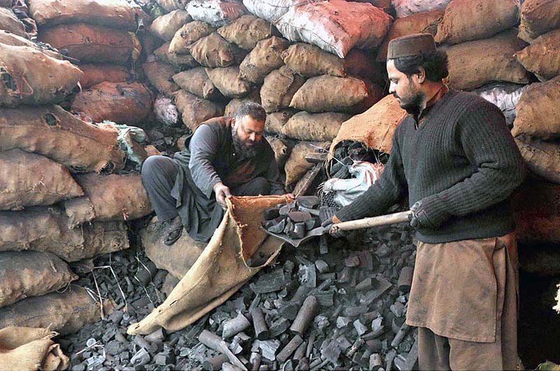 A shopkeeper filling sacks with coal to sell it to consumers as demand increased due to low pressure and shortage of gas during winter season