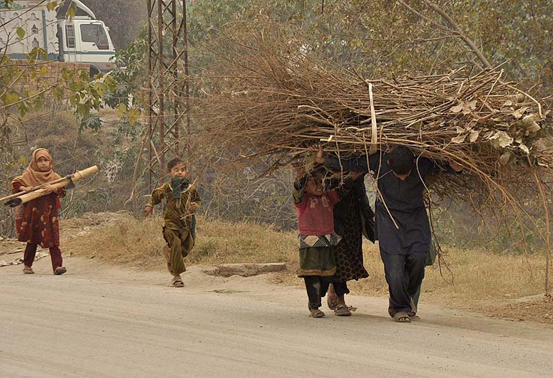 Gypsy children carrying bundle of dry wood on their heads for domestic use in the Federal Capital