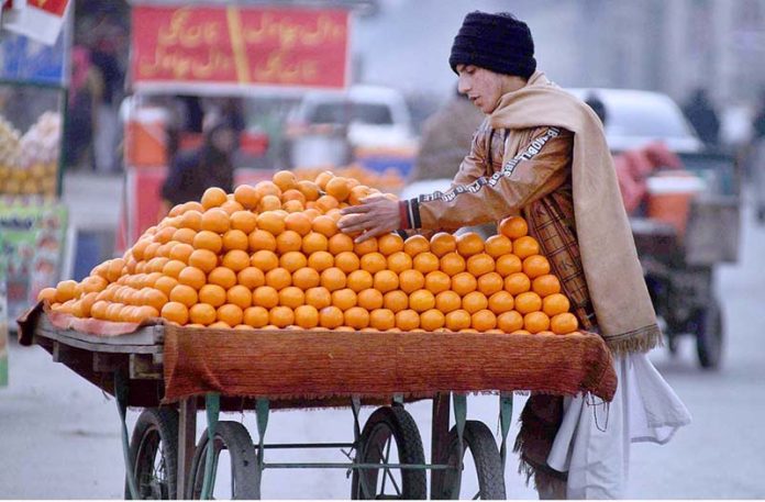 A vendor displays Oranges on his hand cart setup along the roadside to attract the customers