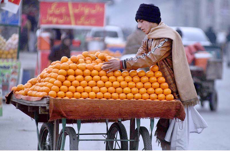 A vendor displays Oranges on his hand cart setup along the roadside to attract the customers