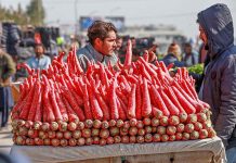 A vendor displaying radish to attract customers at Khanna Pul