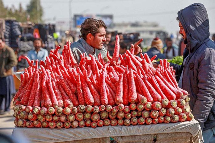 A vendor displaying radish to attract customers at Khanna Pul