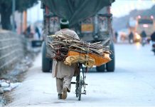 A man on the way with his bicycle loaded with branches of trees to be used as fuel for cooking purposes on Islamabad Expressway