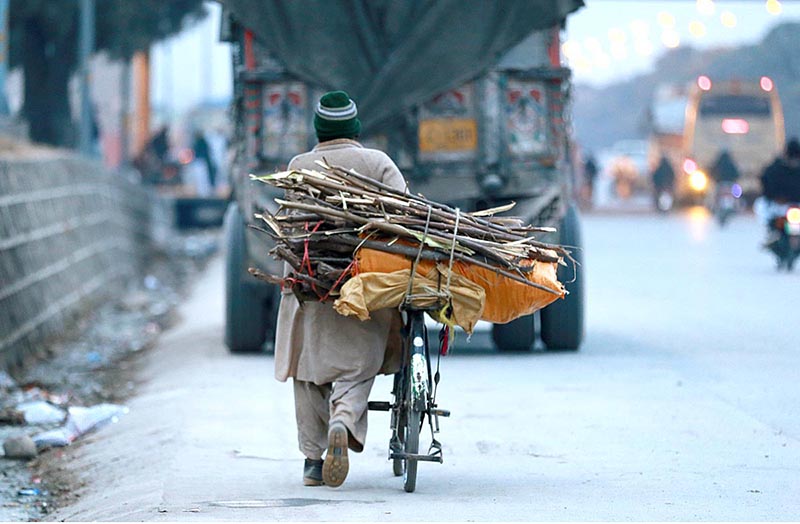 A man on the way with his bicycle loaded with branches of trees to be used as fuel for cooking purposes on Islamabad Expressway