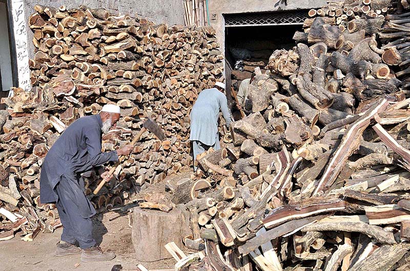 A elderly worker busy in cutting wood into pieces with axe for selling at his workplace near Khana Pul