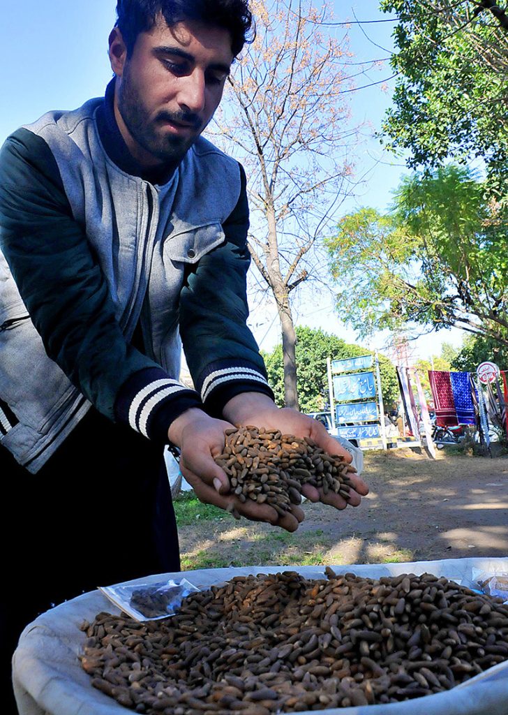 A vendor displaying Pine nuts (chilghoza) to attract the customers at his shop