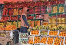 A vendor arranging and displaying different fruits at G-9 Markaz