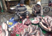 Vendors are cleaning and cutting fishes at their workplace