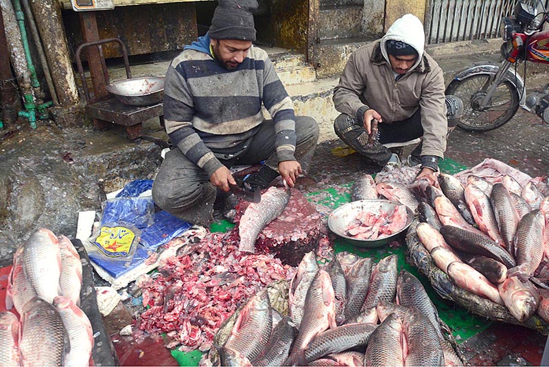 Vendors are cleaning and cutting fishes at their workplace