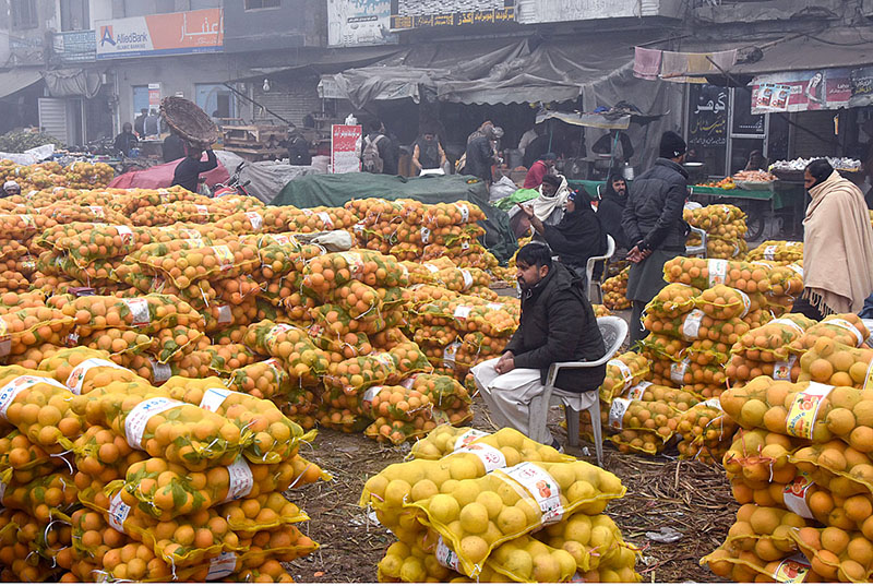 A vendor is displaying and selling sacks of oranges in the fruit market to attract customers