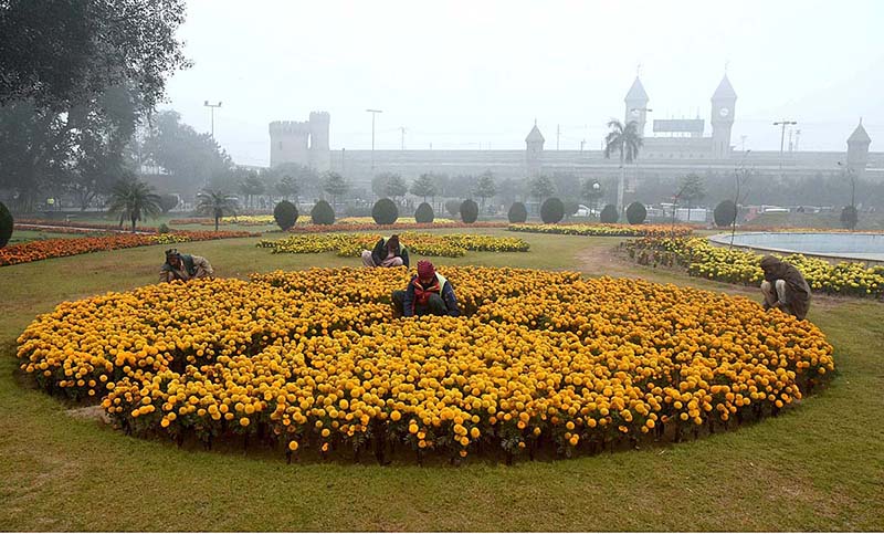 PHA workers are digging the park near Lahore Railway Station with colorful seasonal flowers and plants