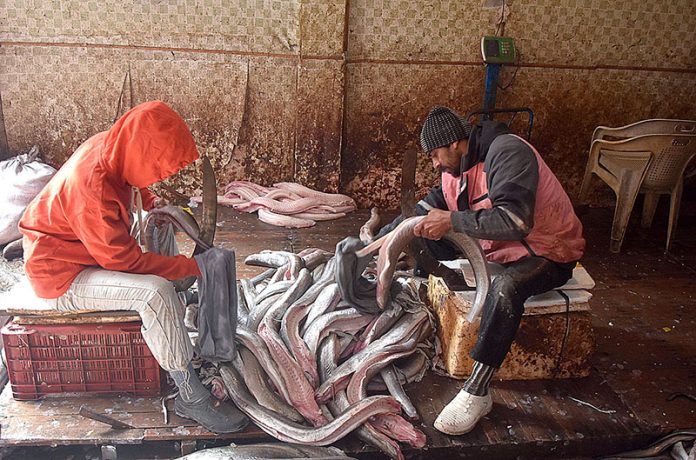 Vendor are cleaning fishes to attract customers at their workplace