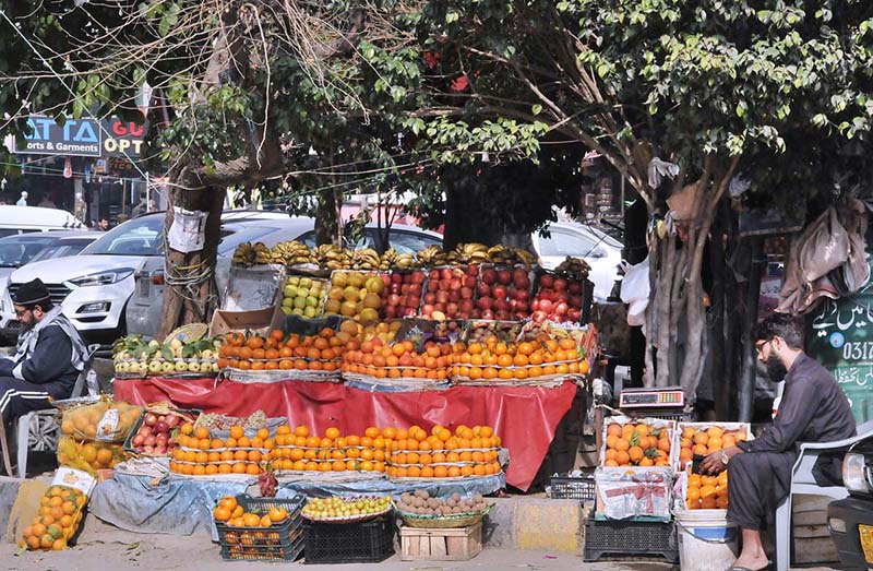 A vendor arranging and displaying seasonal fruits on his vehicle to attract the customers