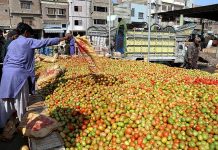 Vegetable traders unloading tomatoes for trading at vegetable market in the city