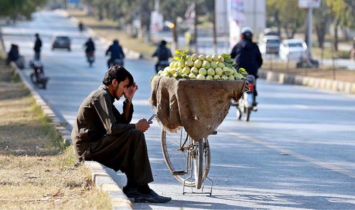 A vendor busy with his cell phone while waiting for customers to sell guava loaded on his bicycle in Federal Capital