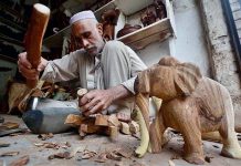 A craftsman making elephants from wood at his workplace near Tehsil Gor Gathri Area