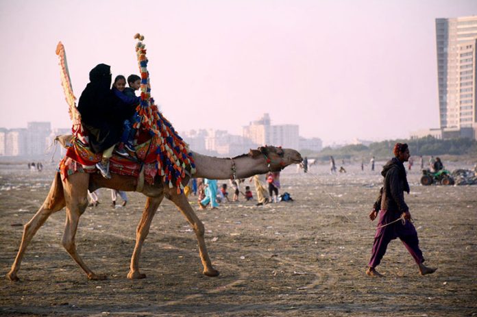 Family enjoying camel ride at Sea view beach Clifton.