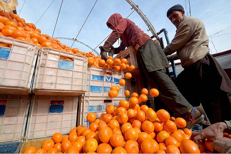 Laborer offloading orange from the delivery truck at Fruit Market