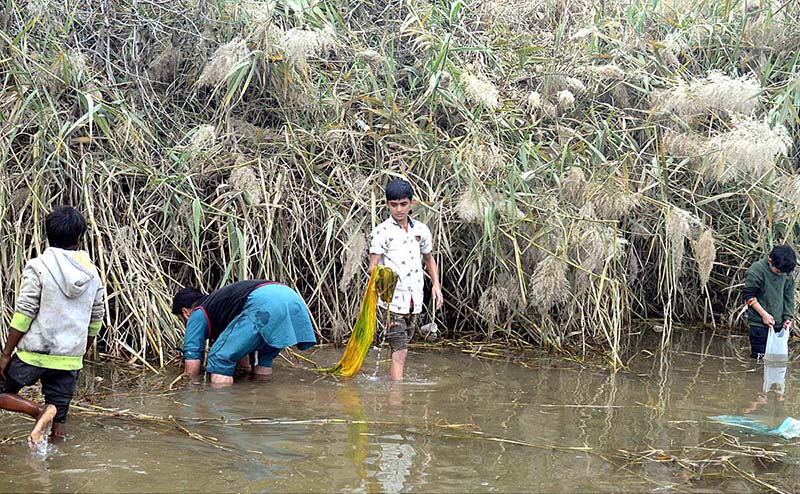 Children are catching fish in the canal at Selawali road on outskirts area of the city