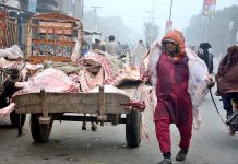 Laborer prepares the meat from the slaughterhouse and loads it on a donkey cart to take it to another place in the morning time.