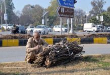 An old man collecting dry branches of tree for domestic use