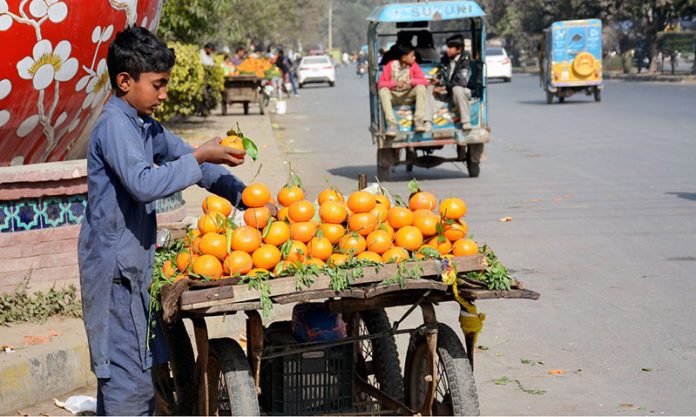 A young vendor displays Oranges on his hand cart setup along the roadside to attract the customers