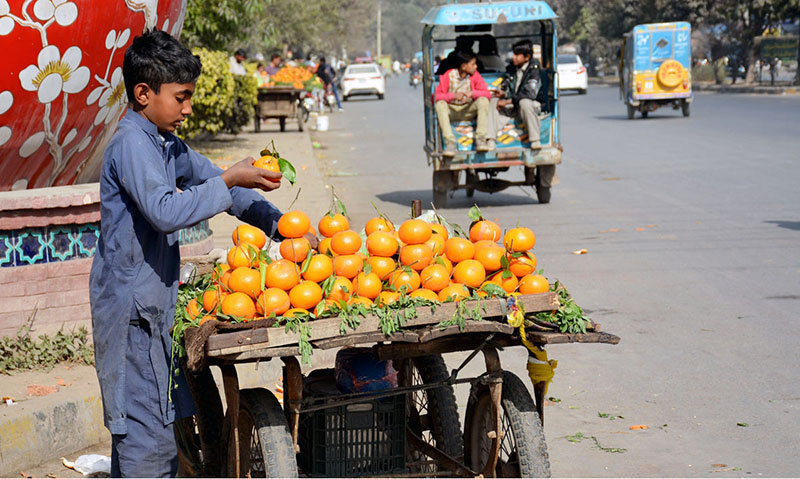 A young vendor displays Oranges on his hand cart setup along the roadside to attract the customers