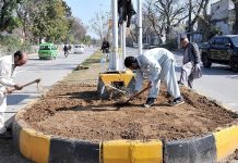 CDA worker busy in routine work at roadside greenbelt