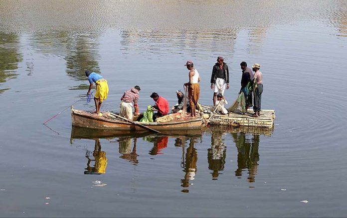 Fishermen busy in catching fish in their boats at Phuleli canal as the demand of fish increase during winter season across the country