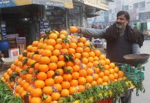 A vendor arranging and displaying seasonal fruit orange to attract the customers at his hand cart setup.
