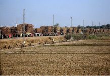 Tractor trolleys loaded with sugarcane waiting in a long queue on roadside for unloading at outside sugar mill on outskirts area in the city
