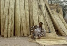 Labourer cutting cane sticks for making traditional Curtin (chik) at his workplace