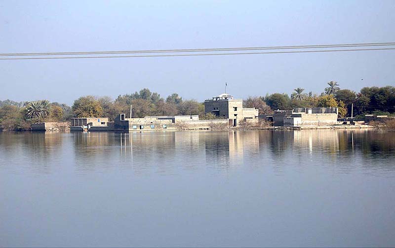 A view of submerged Palm trees after four months of flash flood water as millions of houses and roads damaged and washed away due to deadly flood hit the areas