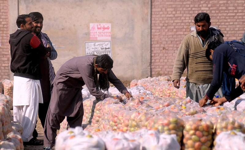 Vendors preparing tomato bags for bidding at Vegetable Market