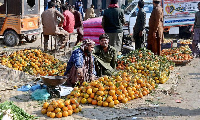 Vendor displaying seasonal fruit Orange to attract the customer at fruit Market