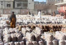 Vegetable traders displaying bags of tomatoes and waiting for sellers at the fruit market