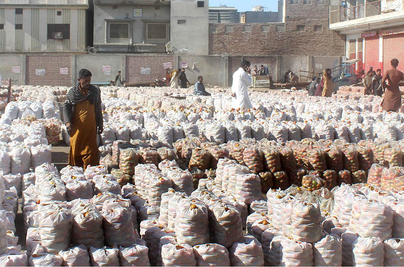 Vegetable traders displaying bags of tomatoes and waiting for sellers at the fruit market