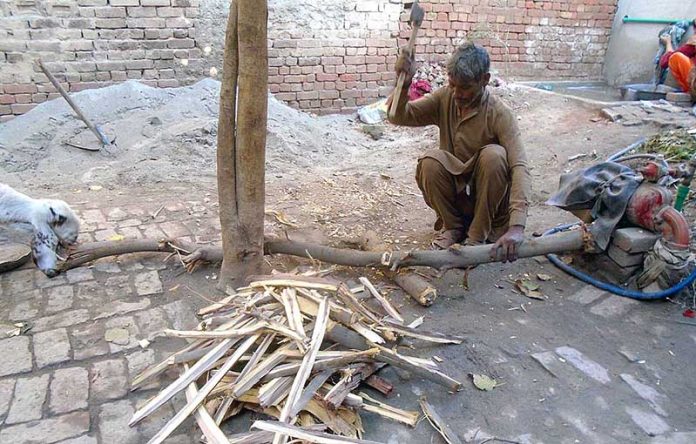 A person busy in cutting wood into pieces for domestic use