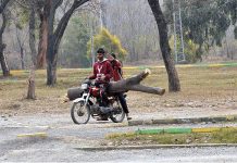 Riders carrying wood log on their motorcycle