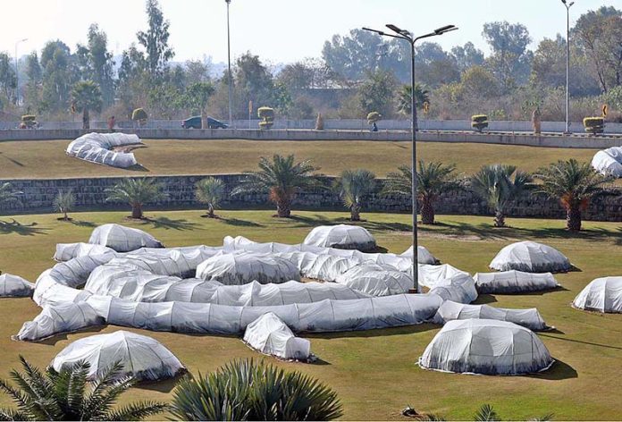 A view of plants covered by CDA with plastic sheets to protect them from dew drops and extreme cold weather at Karal Chowk at Expressaway in federal territory