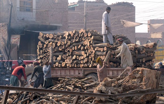 Laborers loading wooden pieces on Tractor trolley at Timber Market.