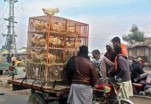 People purchasing chicken from a street vendor