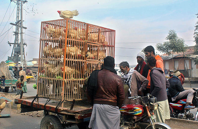 People purchasing chicken from a street vendor