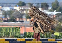 An old man on the way while carrying bundle of dry branches along Sirinagar Highway