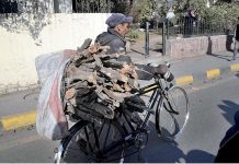 A cyclist on the way carrying a bundle of fire woods for domestic use in the provincial capital city