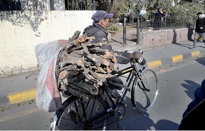 A cyclist on the way carrying a bundle of fire woods for domestic use in the provincial capital city