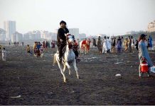 A man enjoying horse riding at seashore in the metropolitan