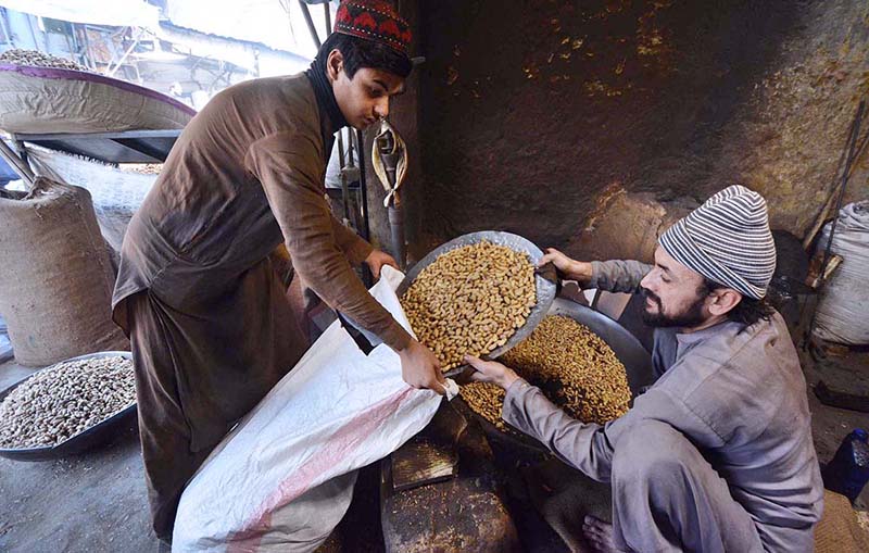 Workers busy in filling sacks of peanuts after roasting at his workplace at Firdous area