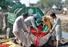 Farmers washing carrots with the help of machine to deliver in the vegetable market