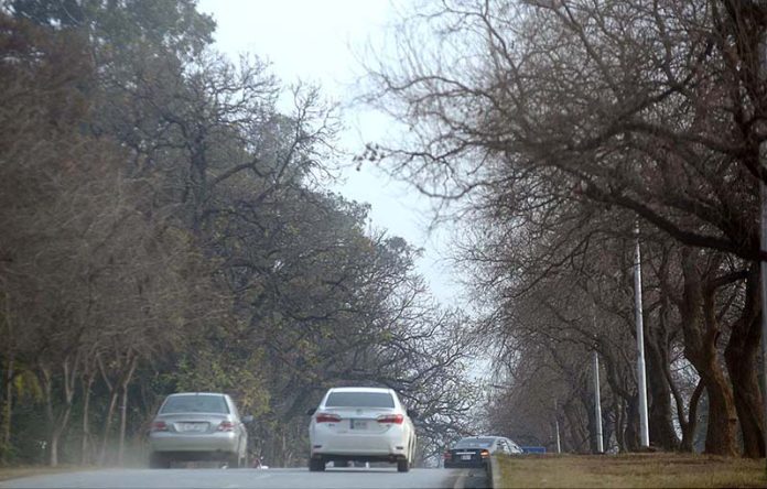 An attractive view of leafless trees along the Waris Shah road during winter season in Federal Capital